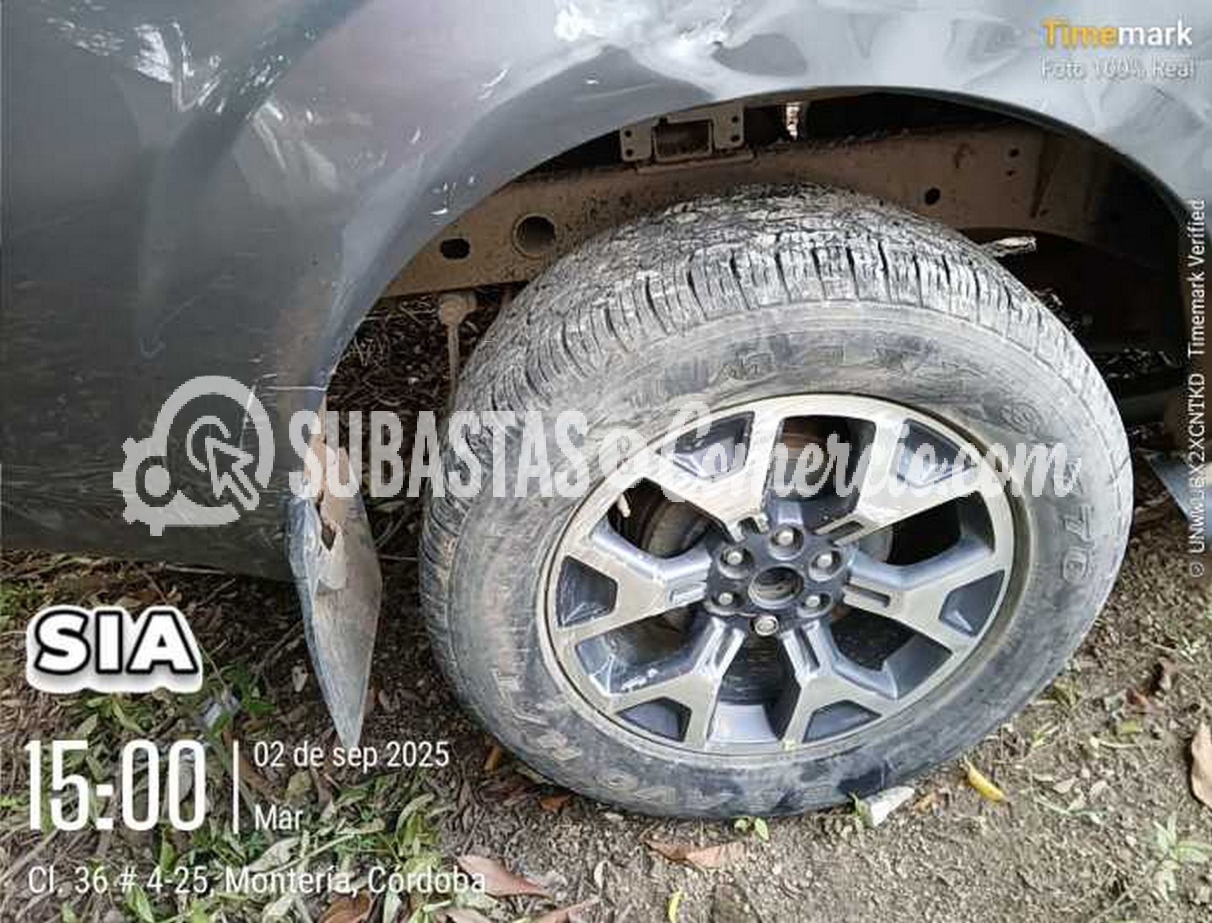 Imagen de WhatsApp 2025-09-02 a las 15.08.24_3c3683d7.jpg